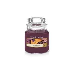 Yankee Candle Bougies YC Reflets d'Automne