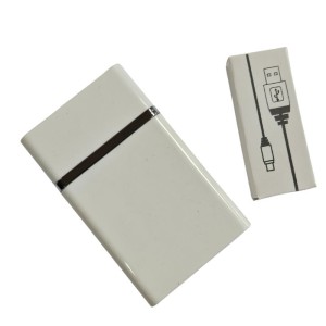 Cigarette boxes Champ Cigarette Case with Usb Igniter